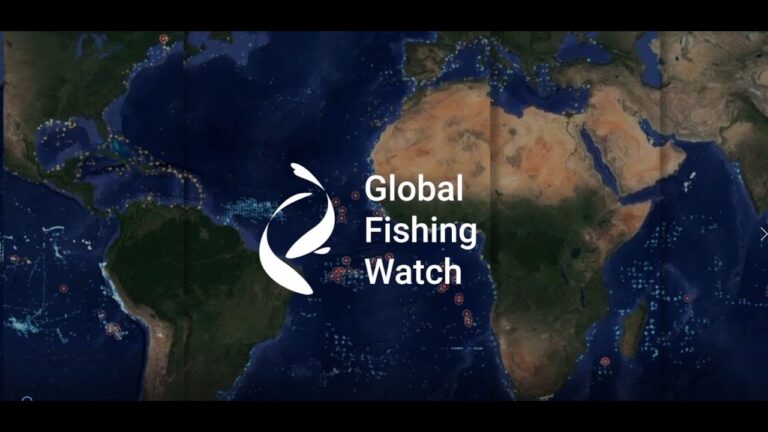 Global Fishing Watch: Harnessing Data to Protect Marine Ecosystems.